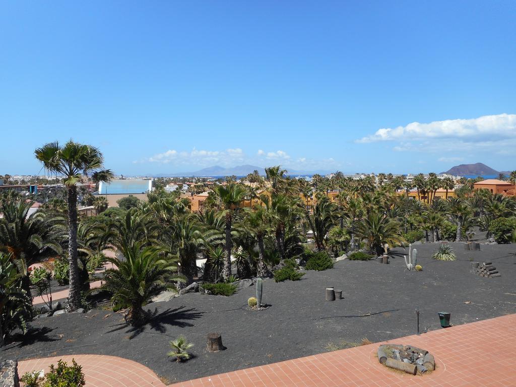 Apartamento Oasis Royal Corralejo Habitación foto
